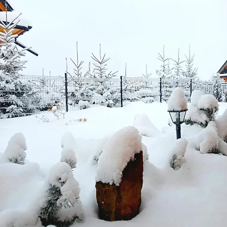 Drewniany - בקתה